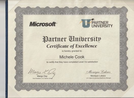 Michele Cook, Microsoft Partner University Certificate of Excellence, #Microsoft Michele Cook, Microsoft Partner University Certificate of Excellence, #Microsoft